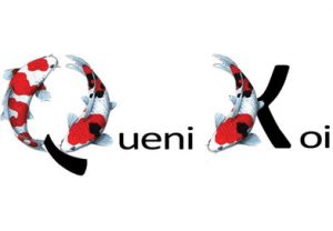 Queni Koi
